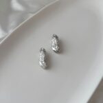 Lunar Crater Hoops